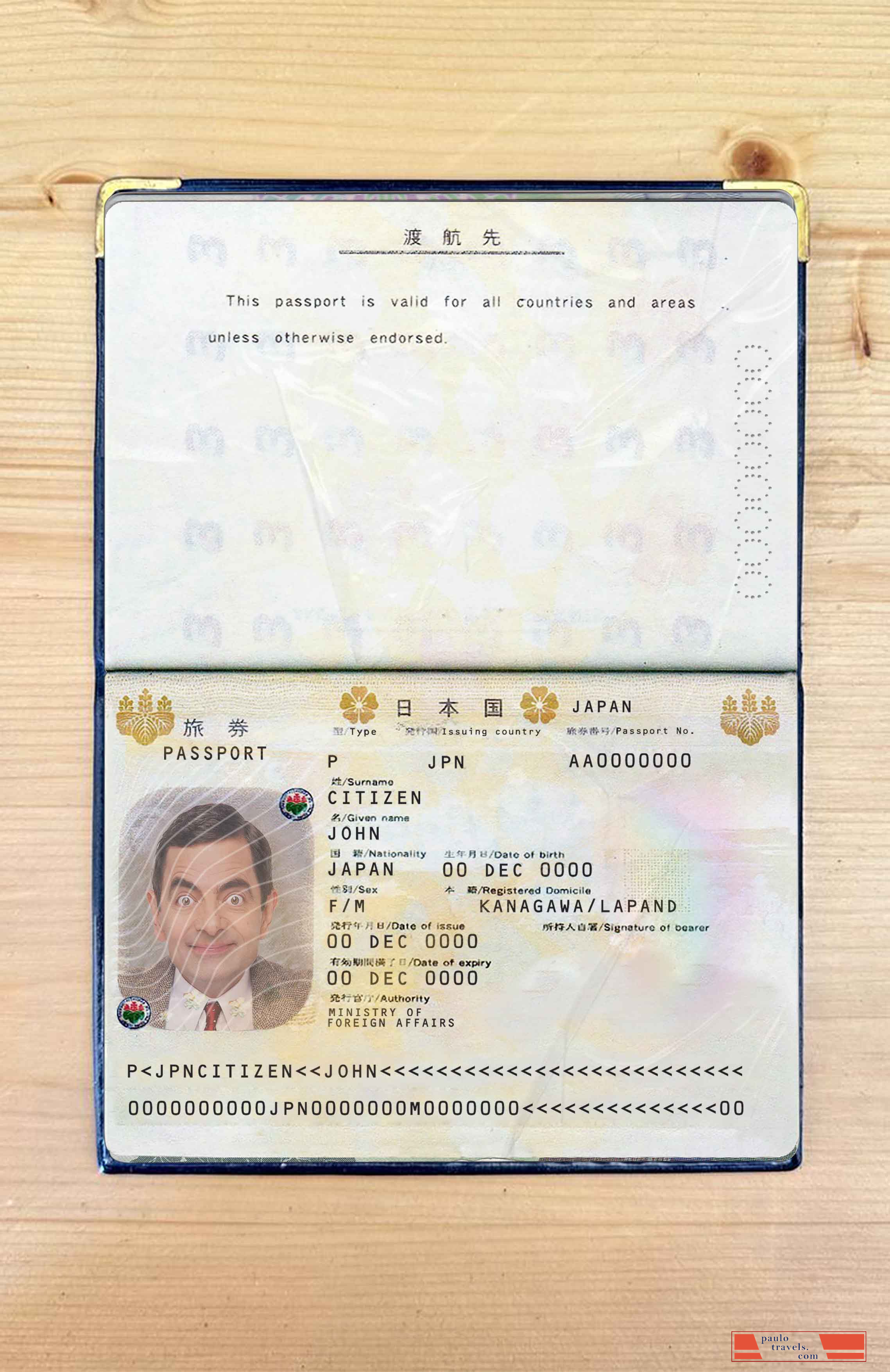 Japan pass photo look PSD template